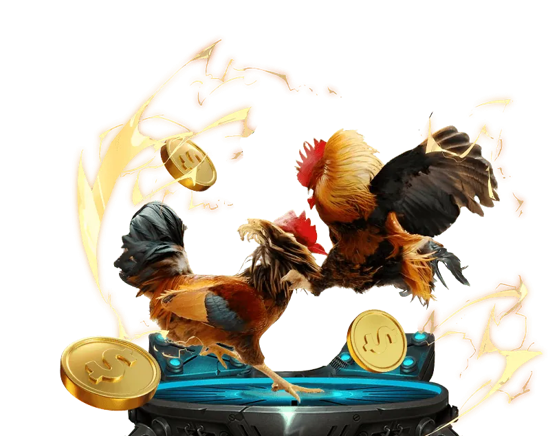 Tính năng nền tảng HB88 Code